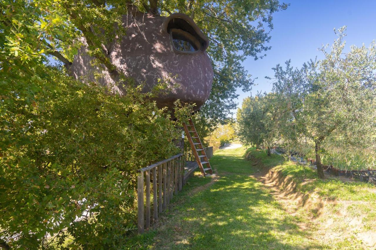 Odina Agriturismo Loro Ciuffenna Ngoại thất bức ảnh