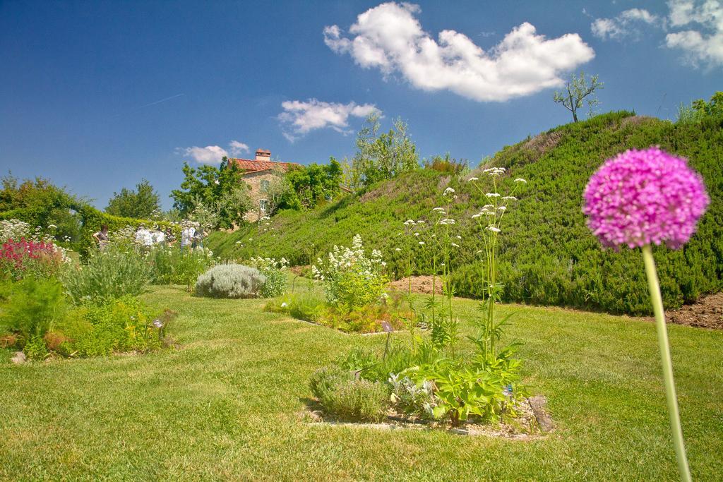 Odina Agriturismo Loro Ciuffenna Ngoại thất bức ảnh